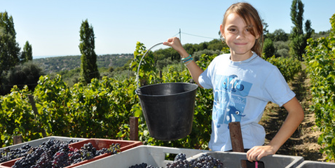 financement et reprise de barriques